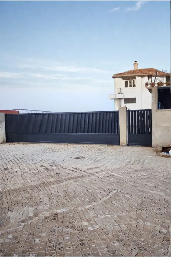 New-Metalex Product Photo (720x1080) (1)